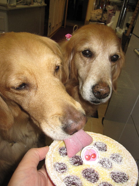 ファイル 1162-2.jpg