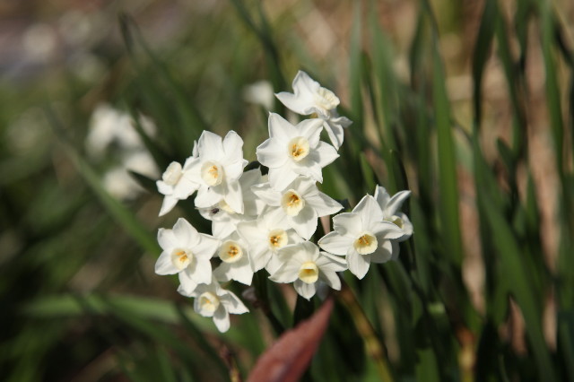 ファイル 1168-2.jpg