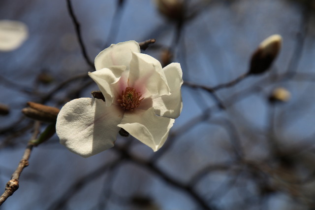 ファイル 1169-2.jpg