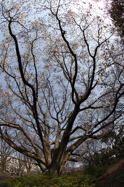 ファイル 1169-4.jpg