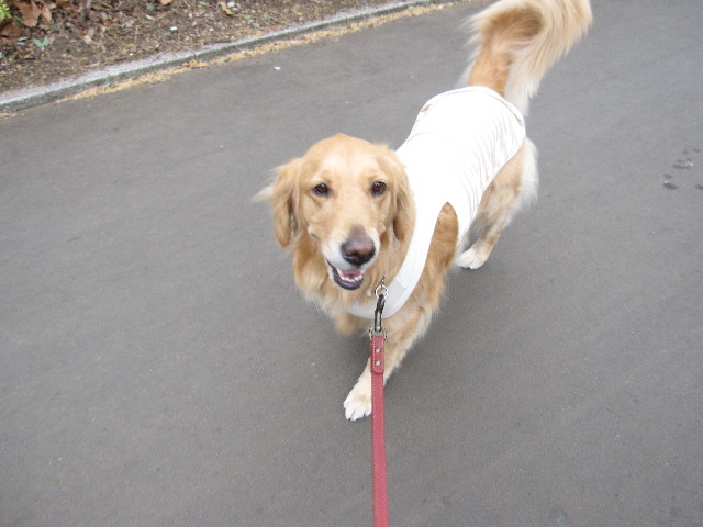 ファイル 1171-2.jpg