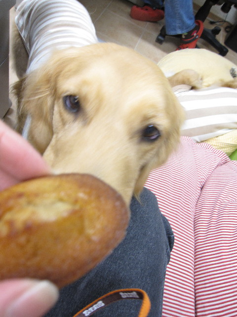 ファイル 1171-3.jpg