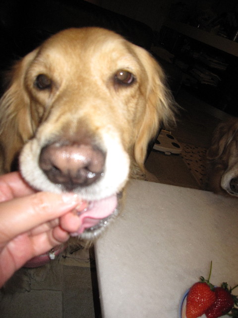 ファイル 1173-2.jpg