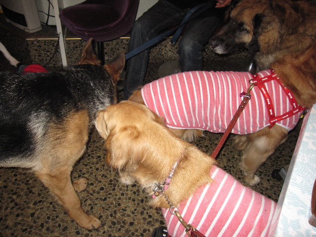 ファイル 1174-4.jpg