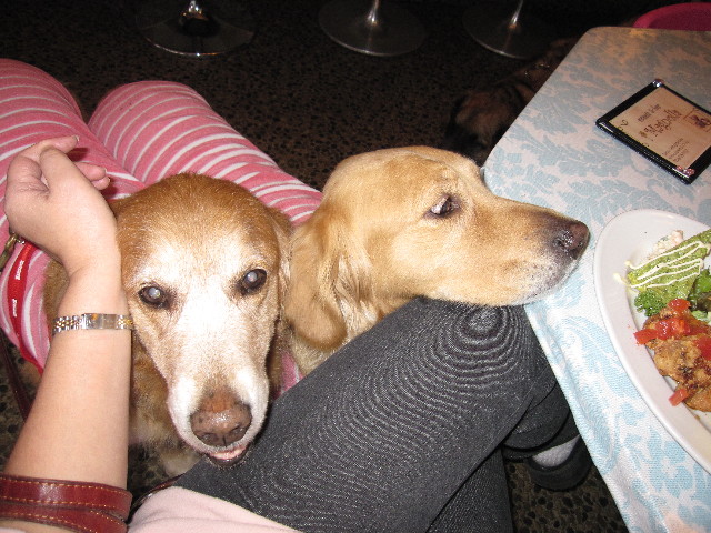 ファイル 1174-5.jpg