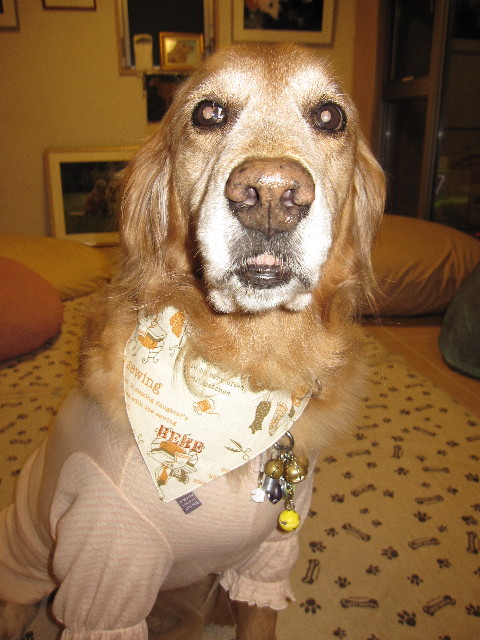 ファイル 1176-2.jpg