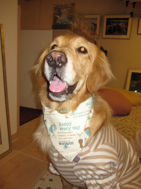 ファイル 1176-3.jpg