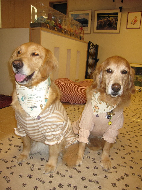 ファイル 1176-5.jpg