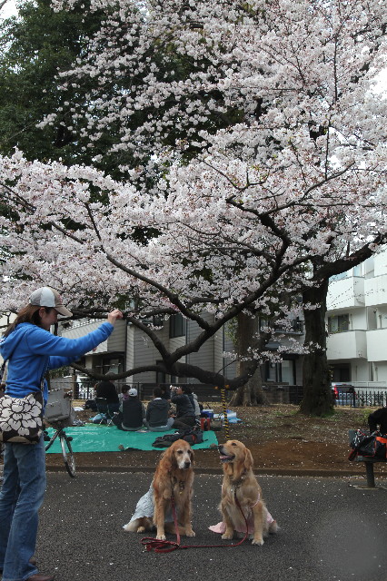 ファイル 1186-3.jpg