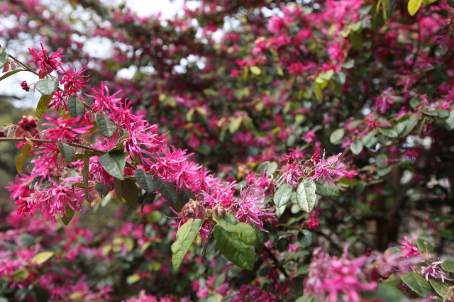 ファイル 1189-3.jpg