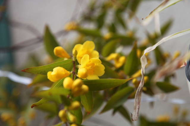 ファイル 1189-5.jpg