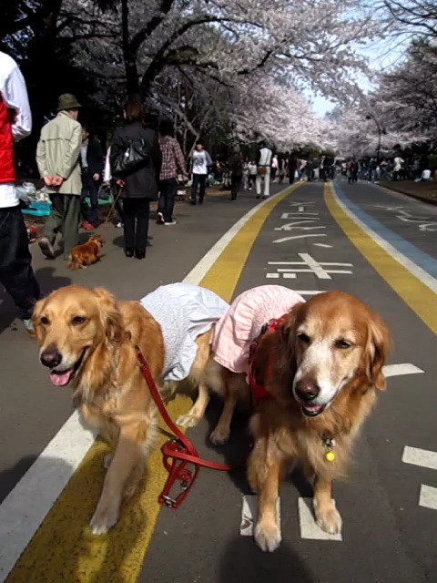 ファイル 1191-3.jpg