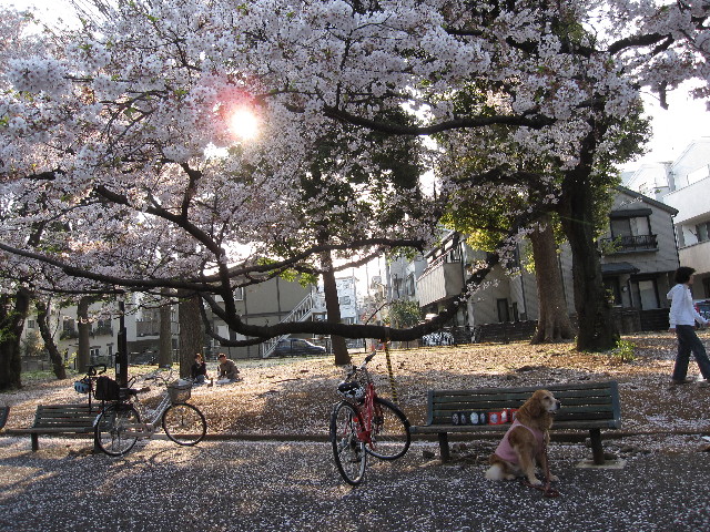 ファイル 1197-3.jpg