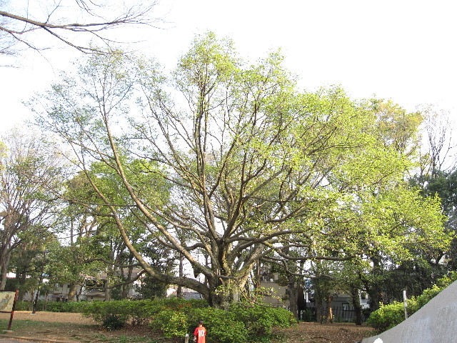 ファイル 1197-5.jpg