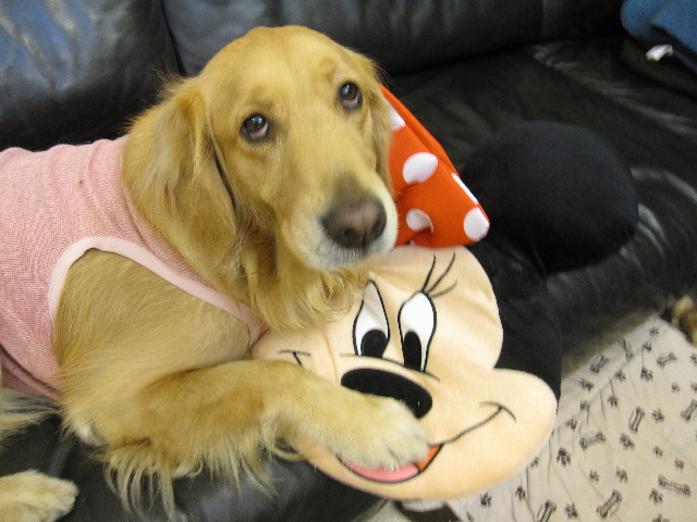 ファイル 1199-5.jpg