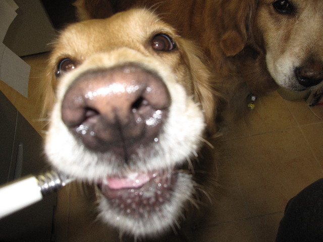 ファイル 1202-5.jpg