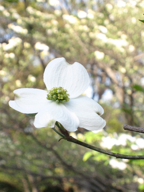 ファイル 1205-3.jpg