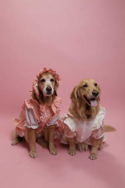 ファイル 1207-3.jpg