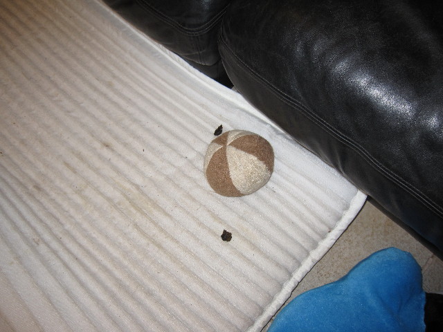 ファイル 1207-5.jpg