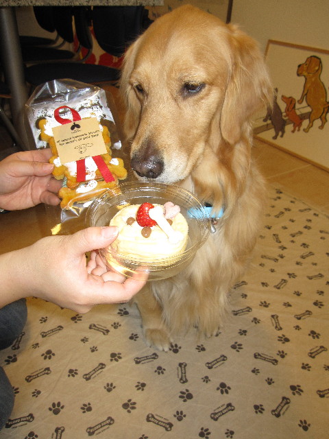 ファイル 1209-1.jpg