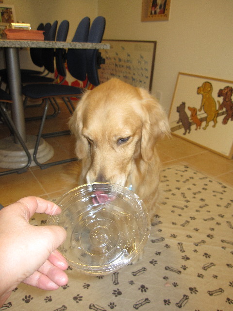 ファイル 1209-5.jpg