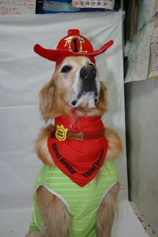 ファイル 121-1.jpg