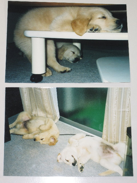 ファイル 1210-3.jpg