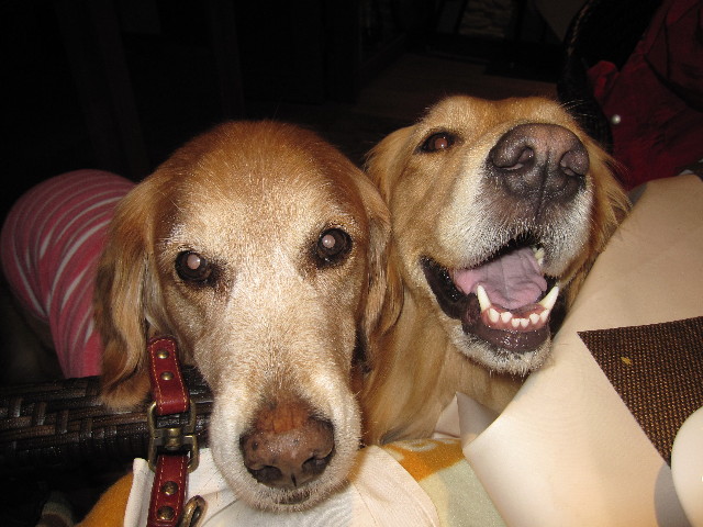 ファイル 1211-4.jpg