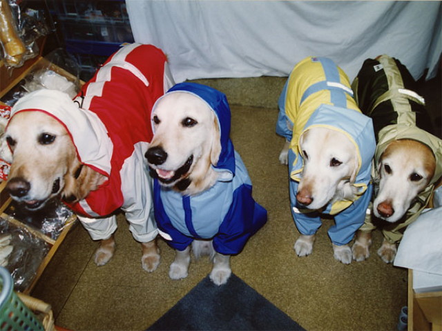 ファイル 1216-3.jpg