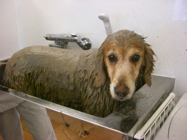 ファイル 1218-1.jpg