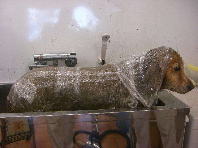 ファイル 1218-2.jpg