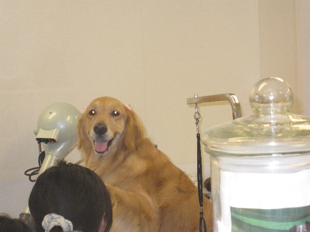 ファイル 1218-4.jpg