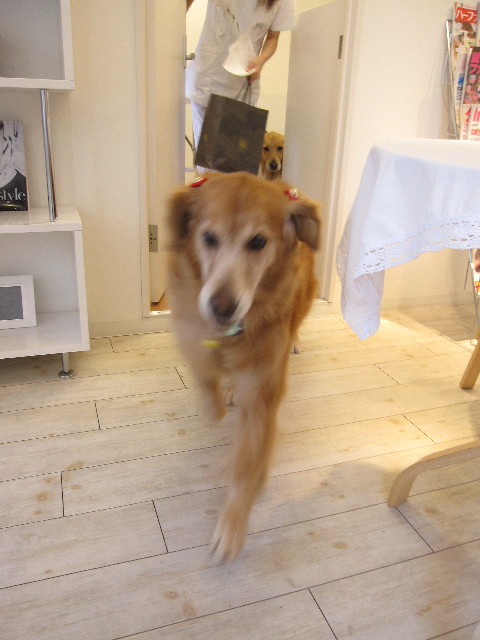 ファイル 1218-5.jpg