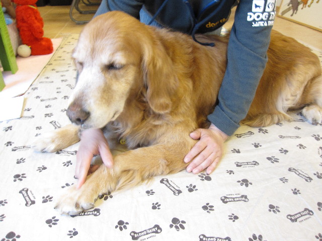 ファイル 1219-1.jpg