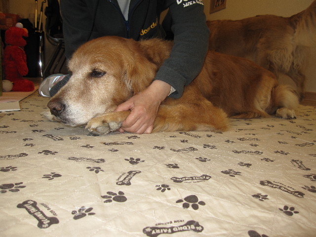 ファイル 1219-4.jpg