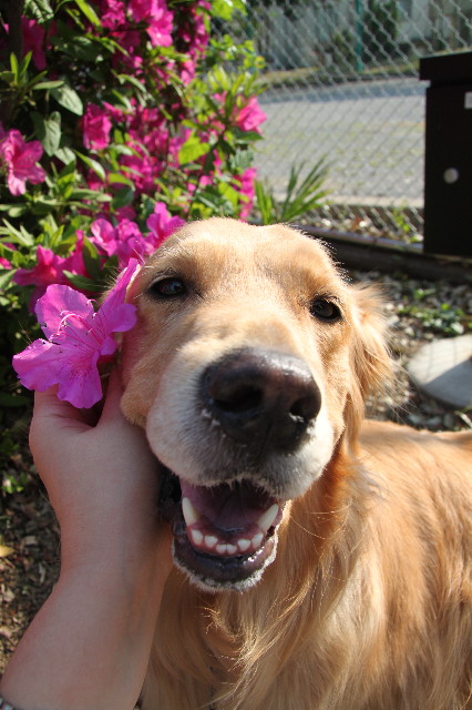 ファイル 1223-4.jpg