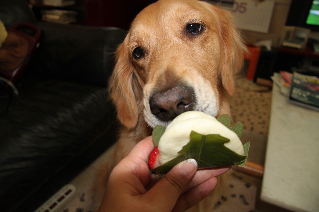 ファイル 1224-4.jpg