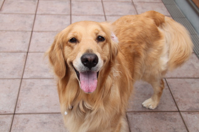 ファイル 1226-2.jpg