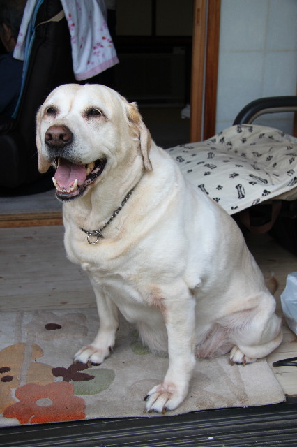 ファイル 1227-1.jpg