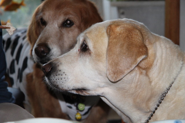 ファイル 1227-3.jpg