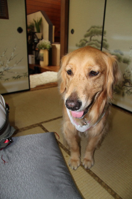 ファイル 1227-4.jpg