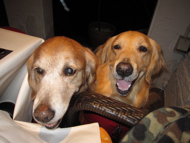 ファイル 1228-1.jpg