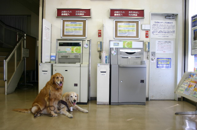 ファイル 1229-1.jpg