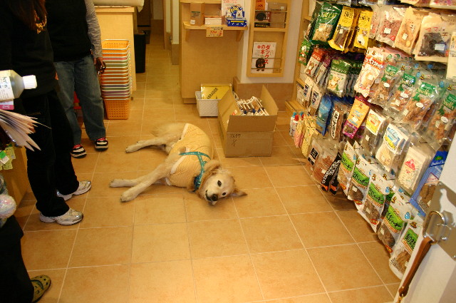 ファイル 1229-2.jpg