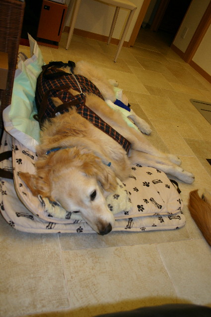 ファイル 1229-3.jpg