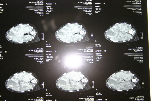 ファイル 1229-4.jpg