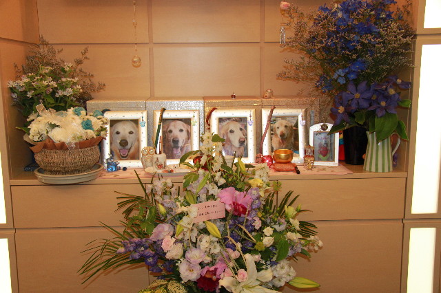 ファイル 1231-1.jpg