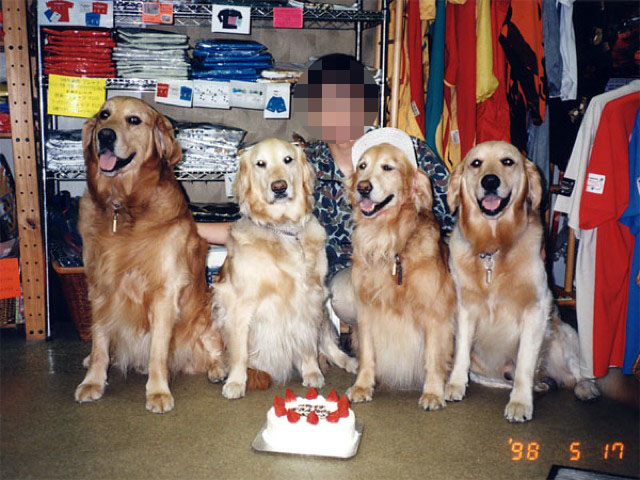 ファイル 1231-2.jpg