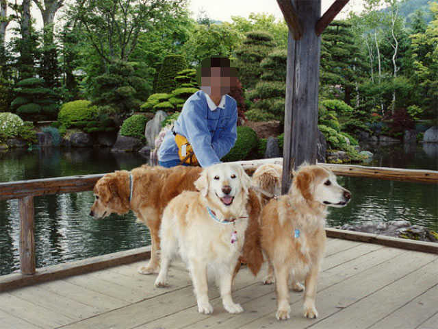 ファイル 1231-3.jpg