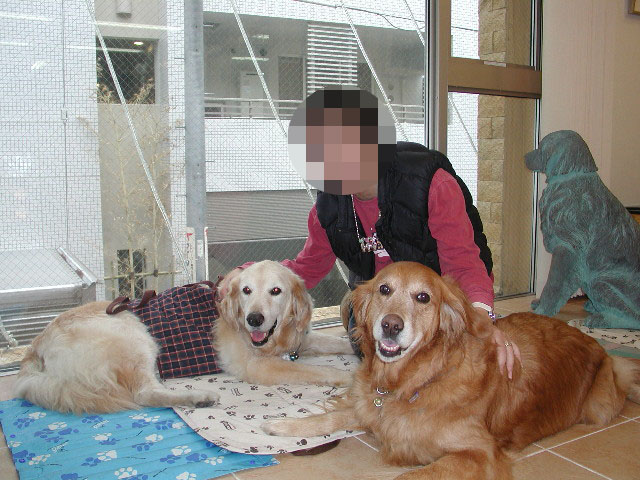 ファイル 1231-5.jpg